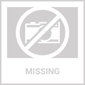 PetSafe Stubborn Dog Fence Collar (REFURBISHED)