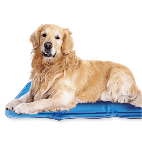 Cool Pet Pad (Color: BlueBlue, size: large)