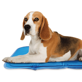 Cool Pet Pad (Color: BlueBlue, size: small)