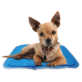 Cool Pet Pad (Color: BlueBlue, size: XS)