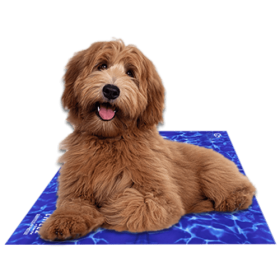 Chilz Gel Mat (Color: Blue WaveBlue Wave, size: medium)