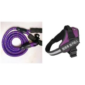 Fashion Simple Pet Leash Chest Strap Set (Option: Purple-M)